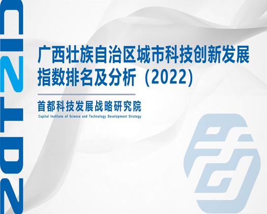 老太婆屄里好想要快用力插啊【成果发布】广西壮族自治区城市科技创新发展指数排名及分析（2022）